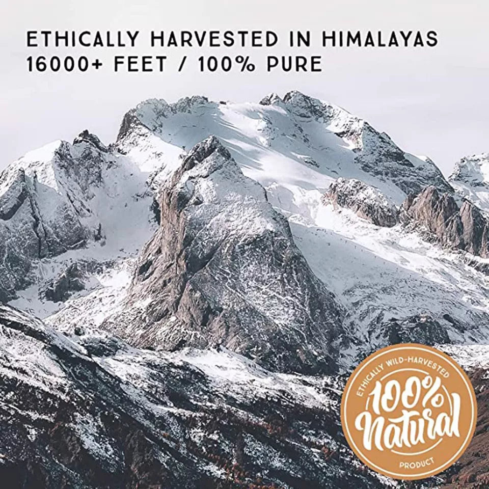Pure Himalayan Shilajit Original Solid