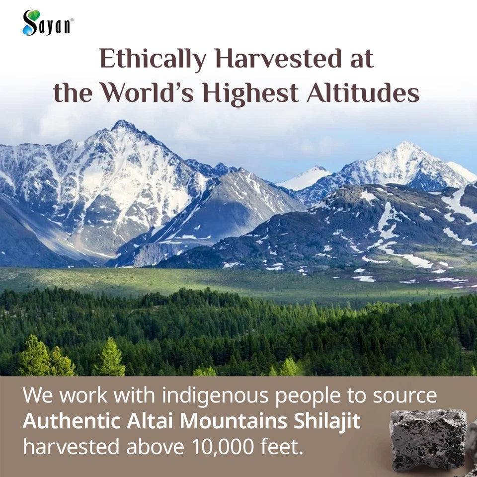 Pure Shilajit Resin 5 Month Supply Golden Grade Altai Mountains